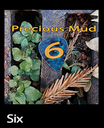 Precious Mud - Six